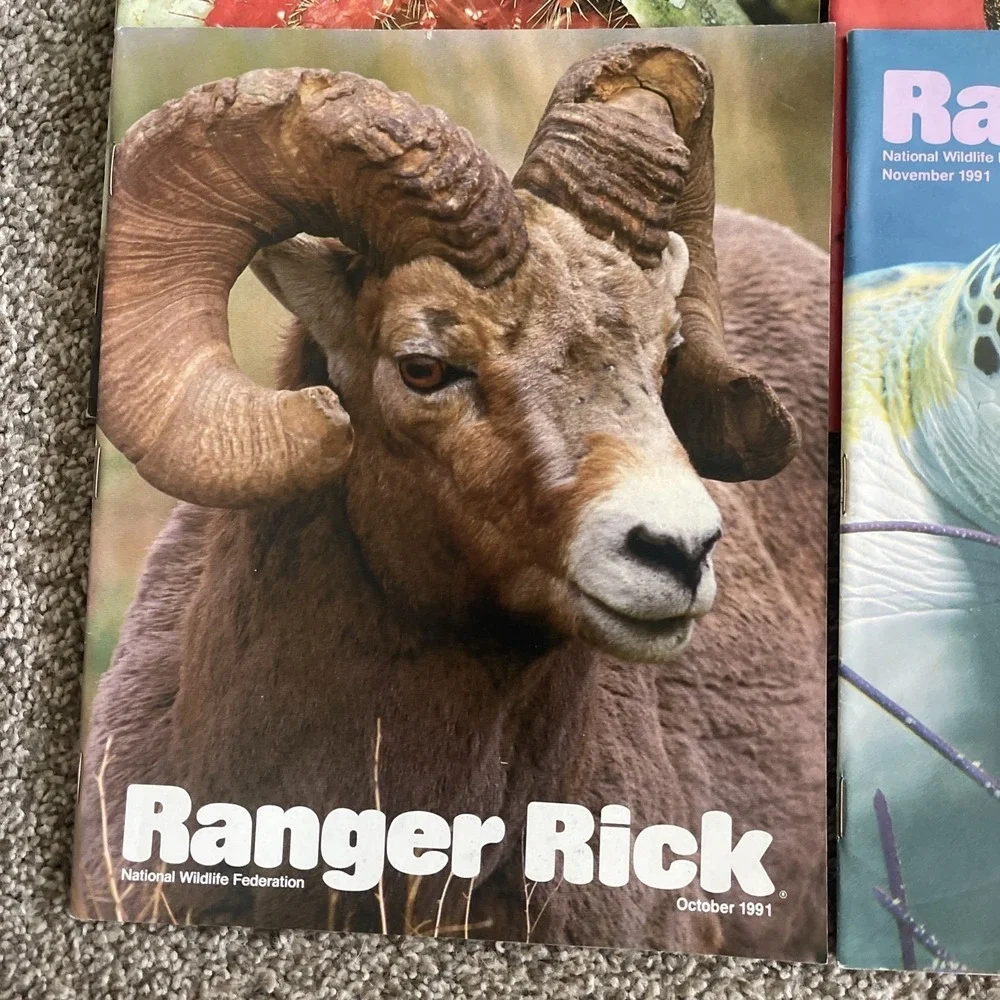 Ranger Rick's Nature Magazine 1991 National Wildlife Kids Vtg Lot Of 12 Complete